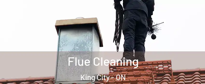  Flue Cleaning King City - ON